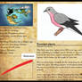 Encyclopedia of Aglaia - Passenger pigeon