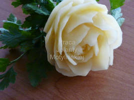 Vegetables - carving