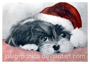I'm Waiting for Christmas by jolabrodnica I'm Waiting for Christmas by jolabrodnica