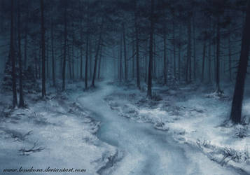 Night winter forest