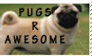 Pugz R Awesome