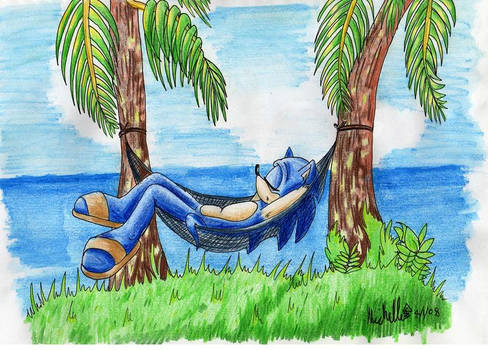 Sonic's vacation