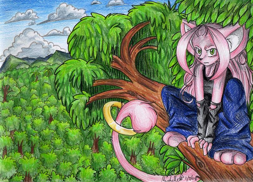 The hedgecat's domain