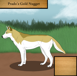 Prado's Gold Nugget