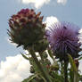 Artichokes and Bumblebees