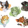 CO: Headshot Batch 4