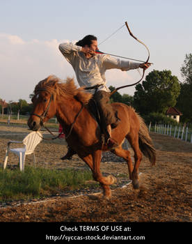 Horseback Archer 17 by syccas-stock