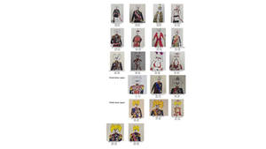 Prowis Japan timeline.