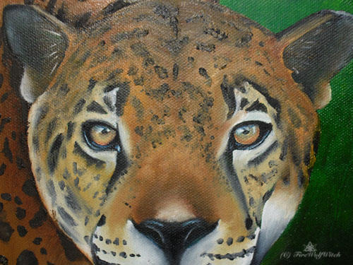 Jaguar Eyes Detail