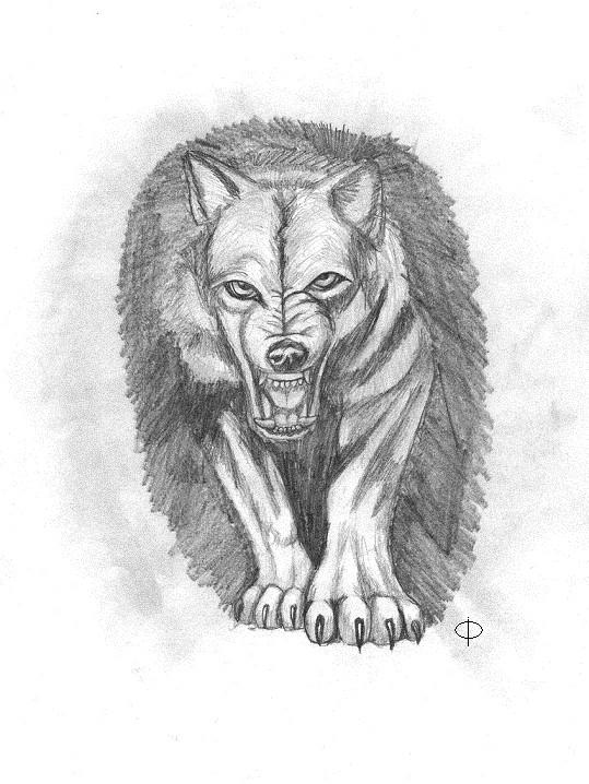 Wolf