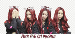 14112013 PACK PNG QRI by:SHIN