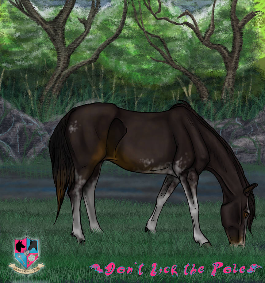 Don Rws Deviantart RWS Don't Lick the Pole by RoseWindStables on DeviantArt