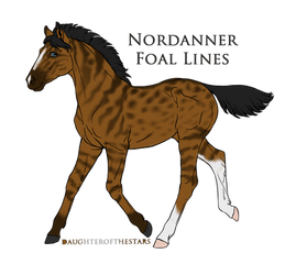 A1081 RWS Black Flame Candle Foal Design