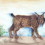 January-Iberian Lynx