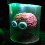 Night Diver Brain