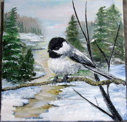 chickadee