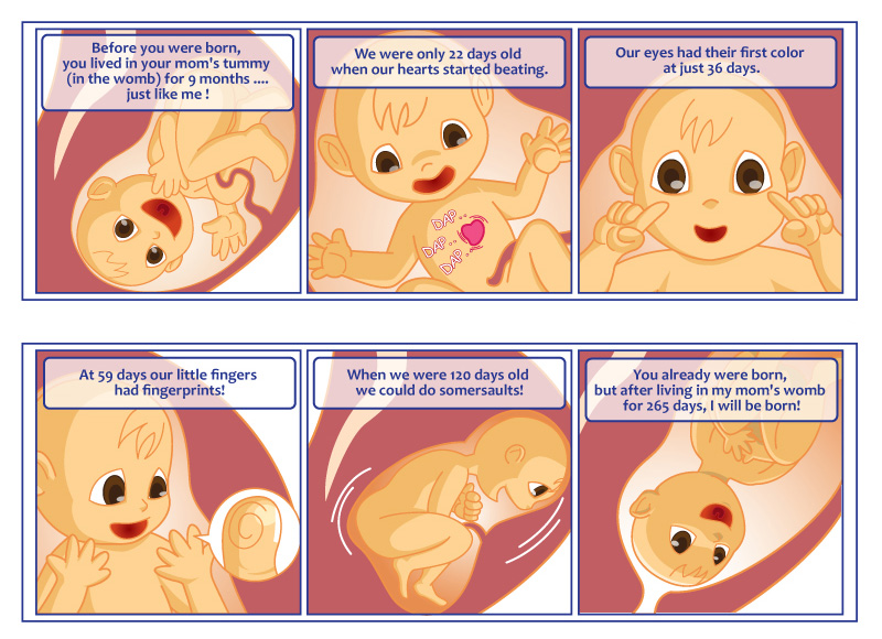 Unborn Baby In Womb By Dotlineshape On Deviantart Unborn Baby In Womb By Dotlineshape On Deviantart