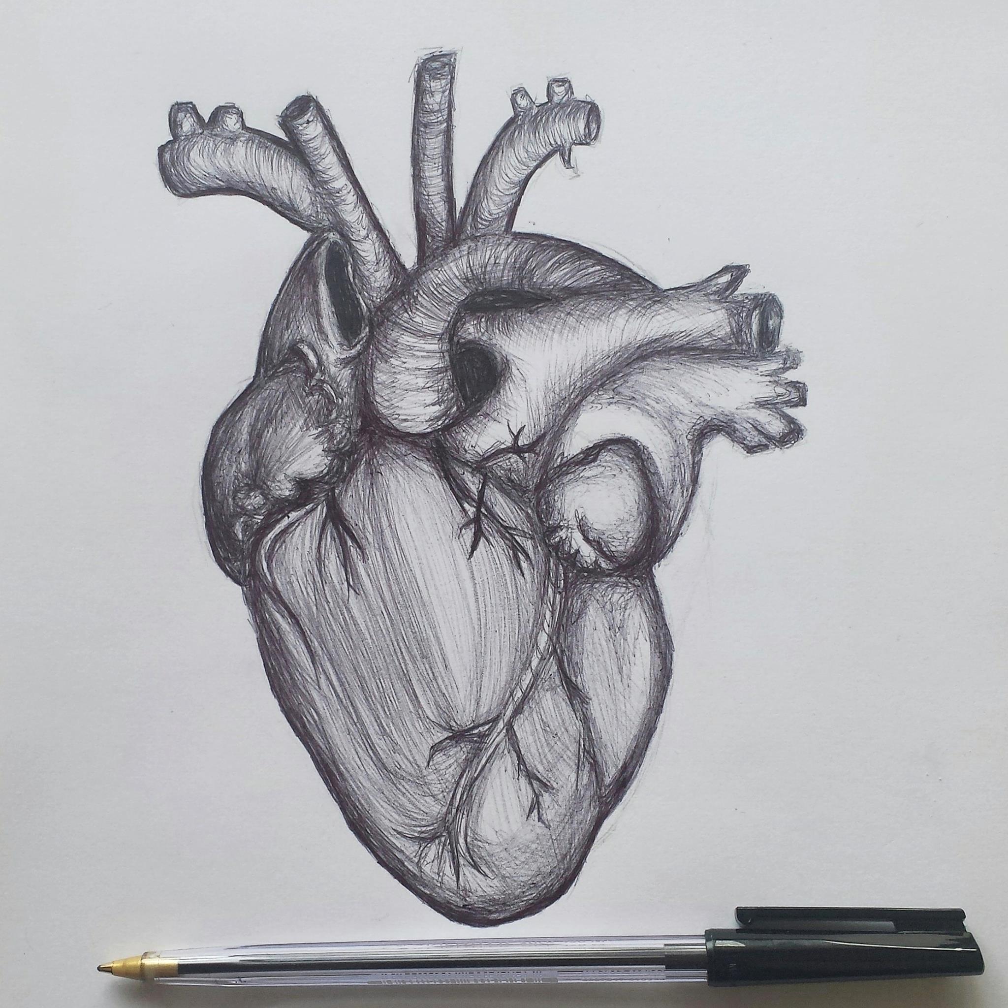 Heart  - Pen Sketch