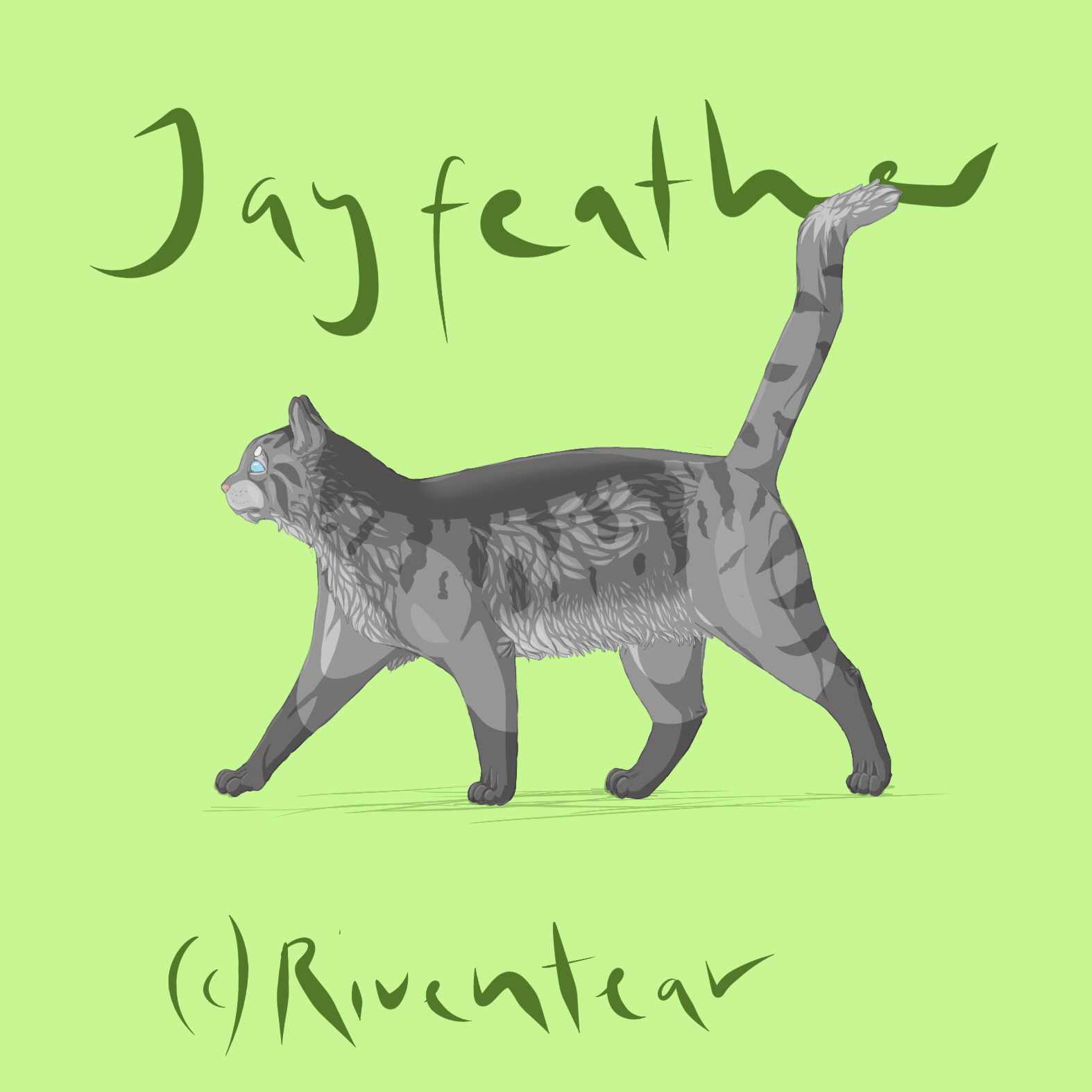 Jayfeather