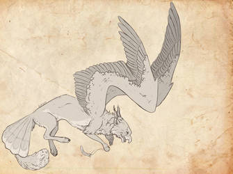 Griffin