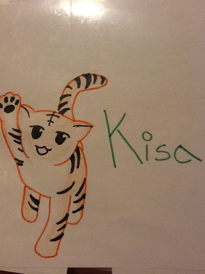 Kisa