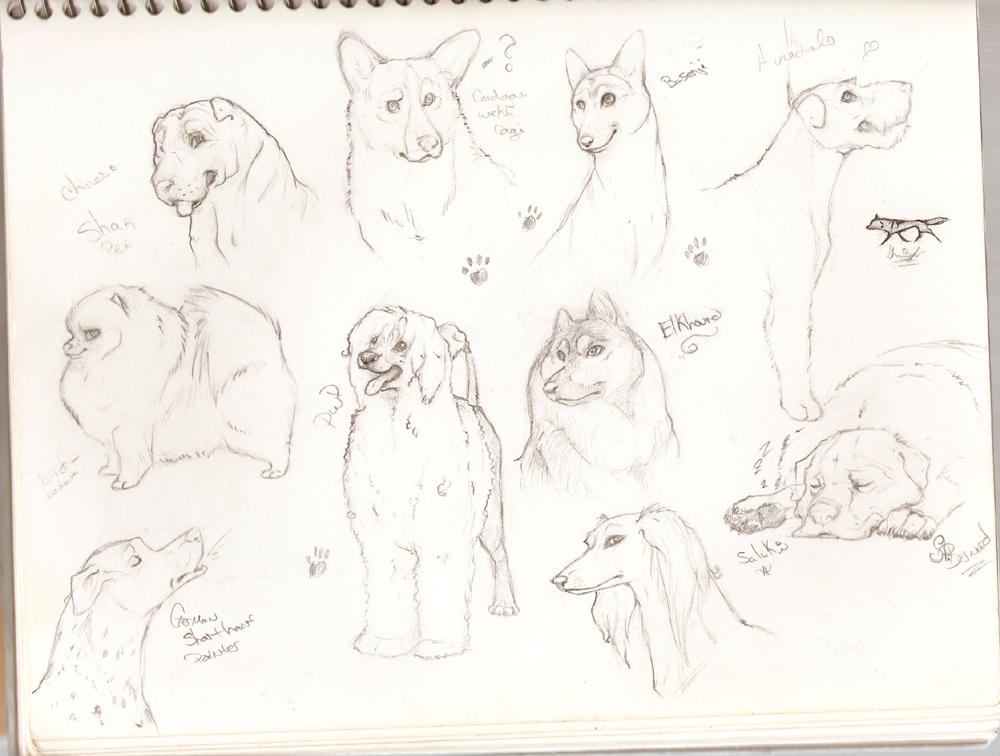 Sketch Book Dog Misc