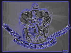 Gryffindor Bluee