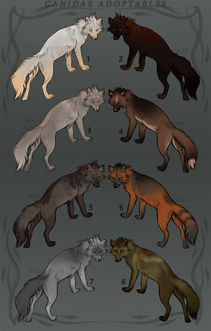 [OPEN] Canidae adoptables (foxes) 14eur