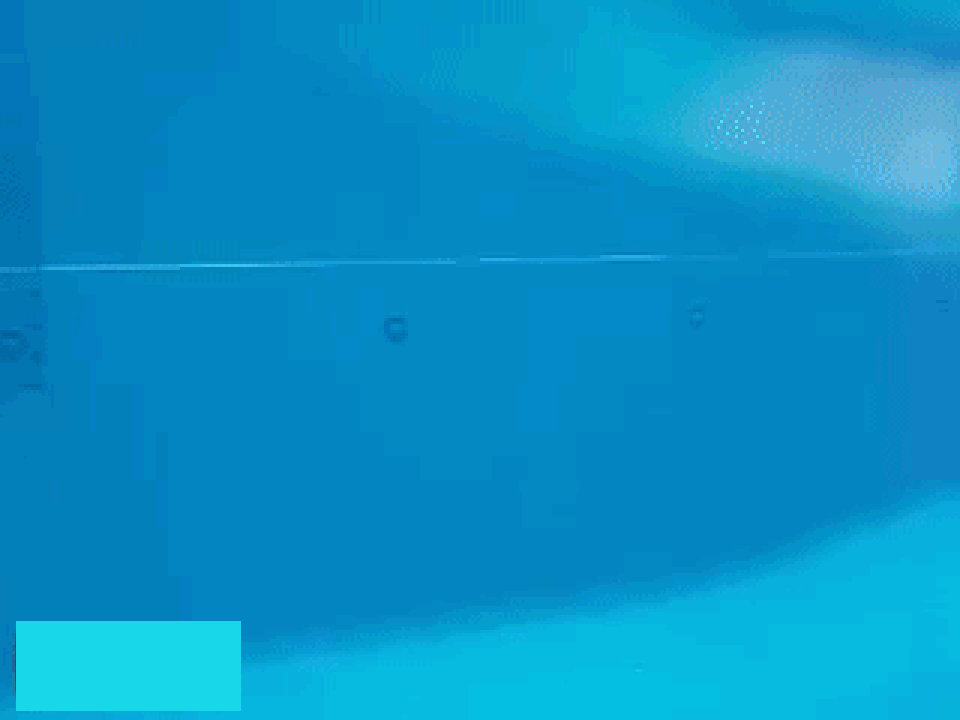 TickleFight News - Summer 1982 (Article 1) (gif).