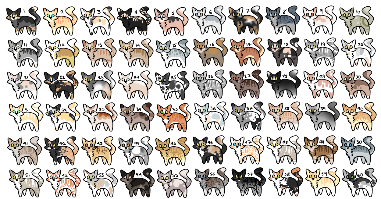 60 kitty offer to adopts