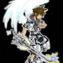 Winged final form sora