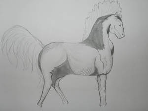 Horse