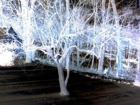 Inverted Snow by skimming-stones on DeviantArt