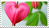 Bleeding Hearts by stamps-of-yore