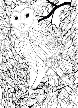 Barn Owl Inks