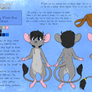 Commission: Pocket's Ref Sheet