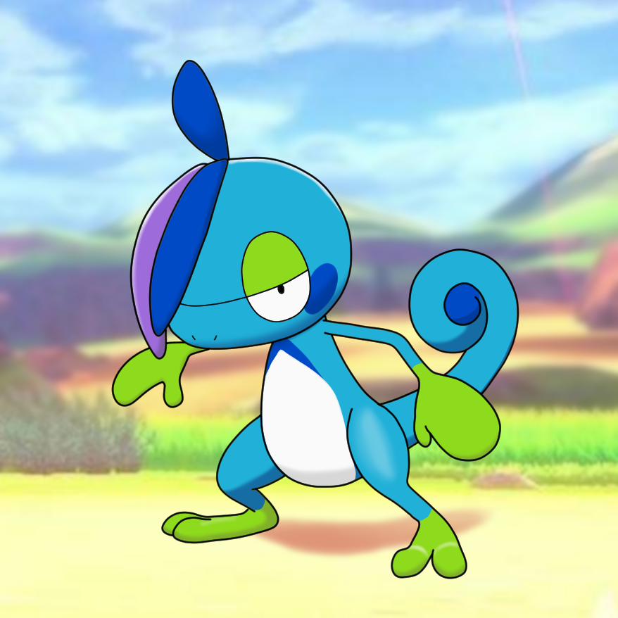 Drizzle pokemon hot sale