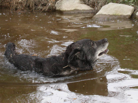 Onni loves swimming