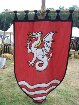 Medieval 2010 25