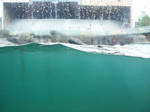 Water surface 2