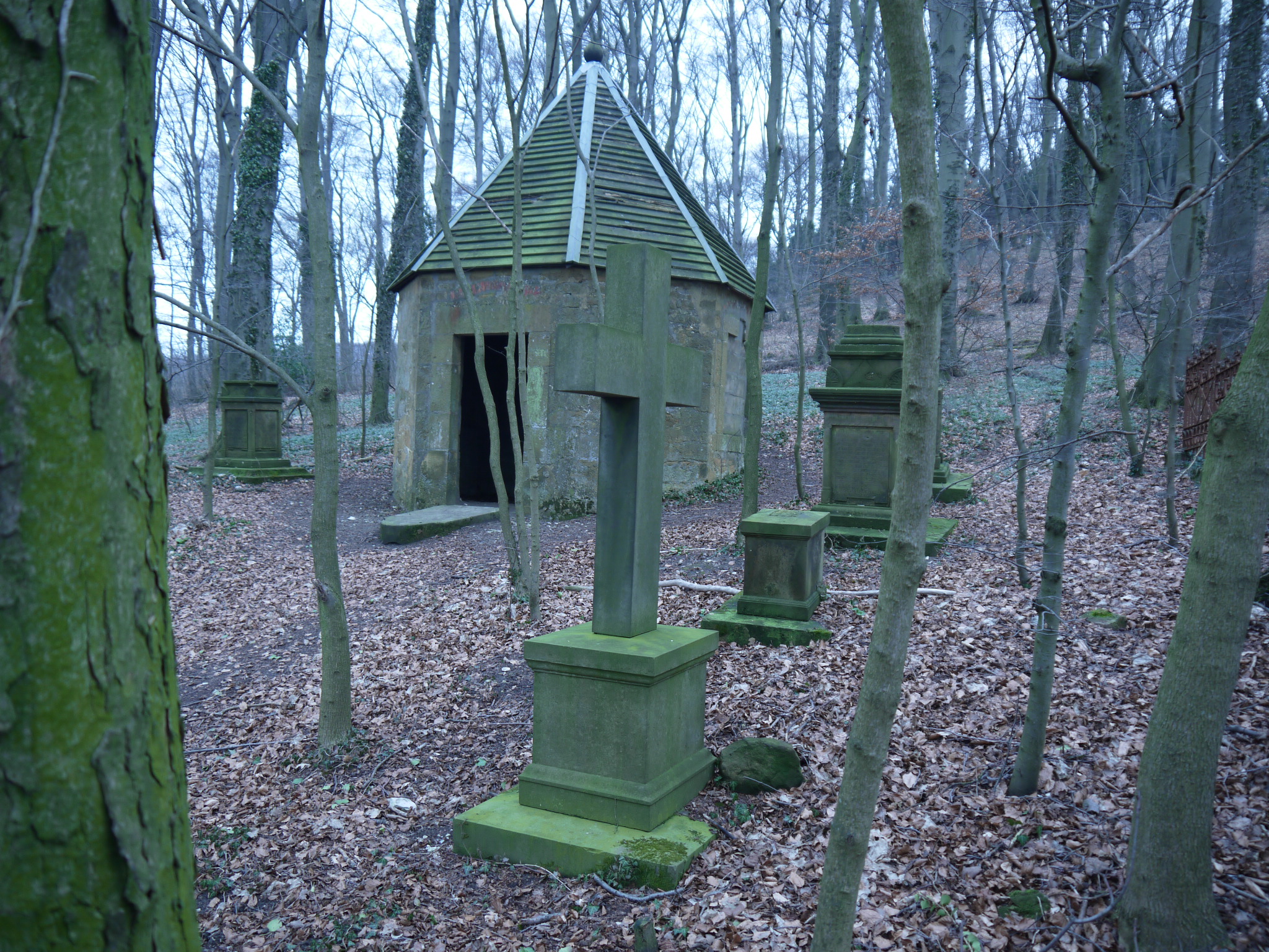 Graveyard in the forest 2