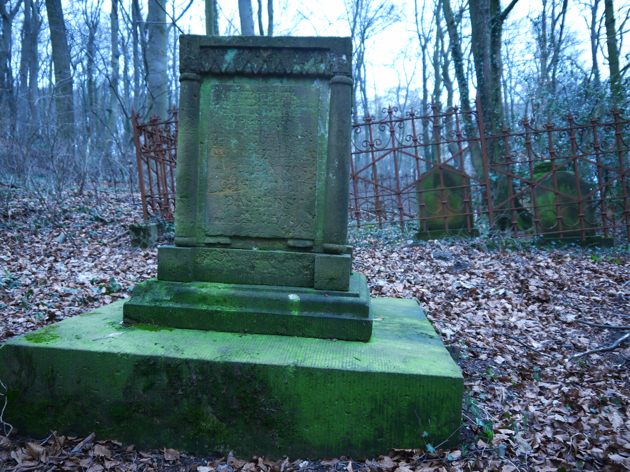 Graveyard in the forest 8