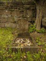 Grave 2012 5