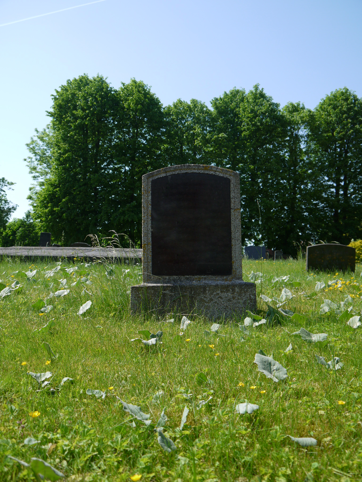 Lonely grave