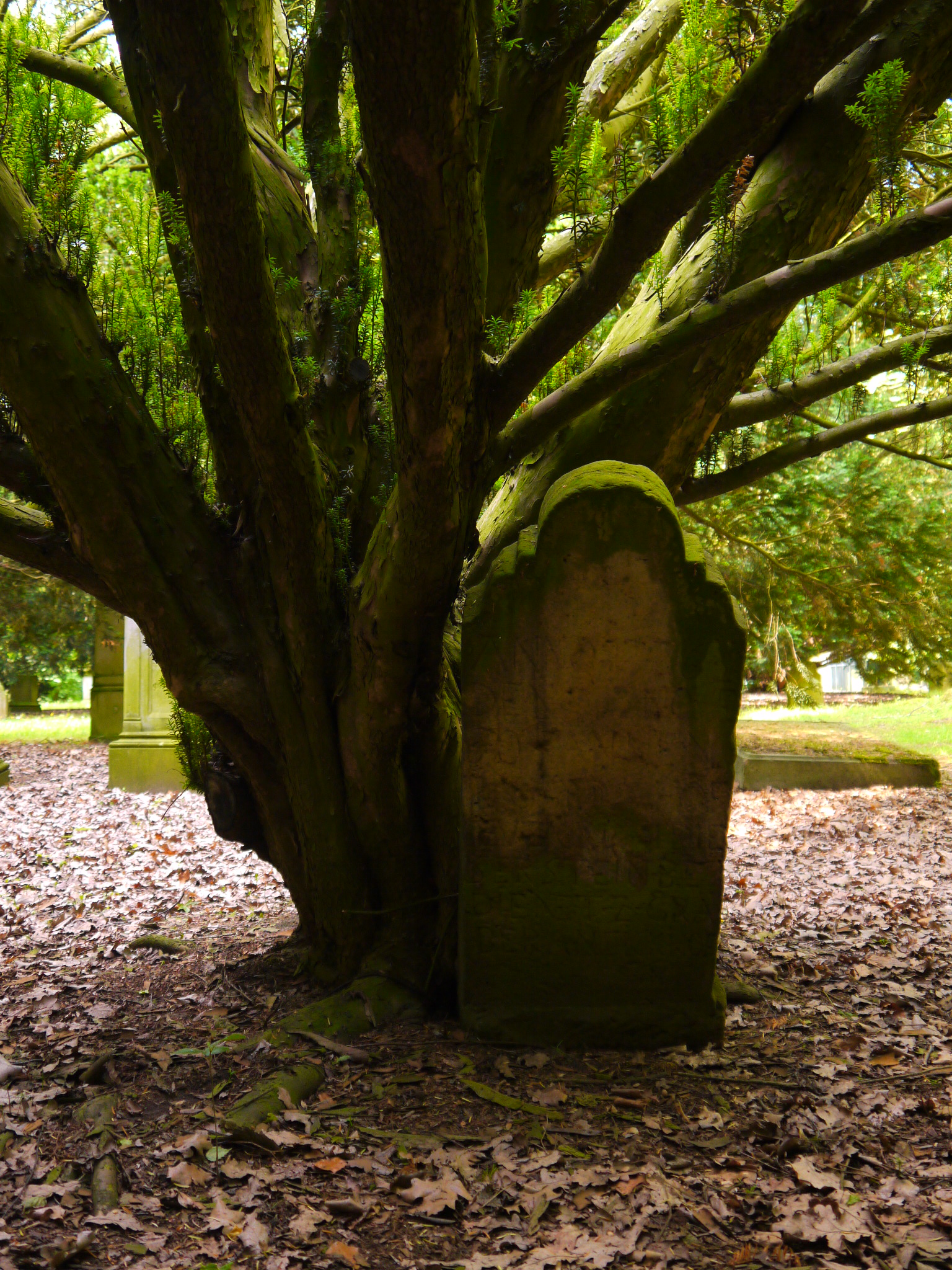 Old Forest Cemetery 2012 14