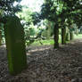 Old Forest Cemetery 2012 21