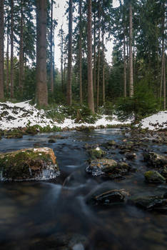 Winter river