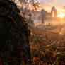 Spiderweb