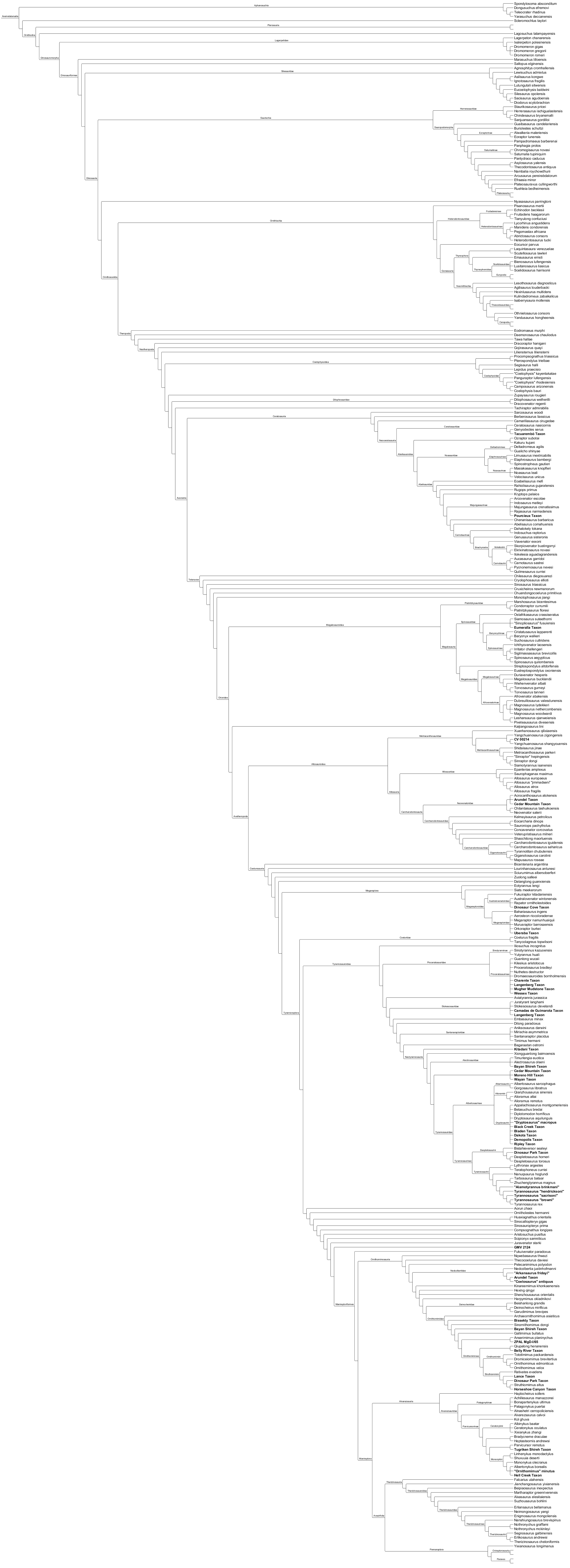 OLD - WIP Speculative Avemetatarsalia Phylogeny