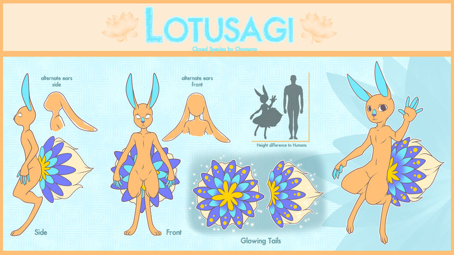 ...Lotusagi Profile...